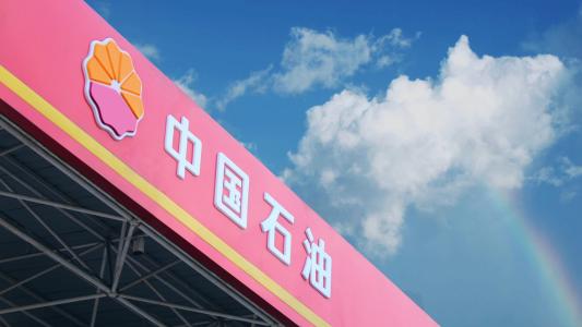 重磅！中石油人事变动！王久玲不再担任外部董事！
