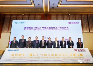新安集团与德国赢创合资气相二氧化硅工厂在镇江正式投产运营