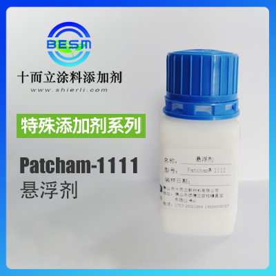 十而立优品推荐：防沉“新星”——Patcham®1111