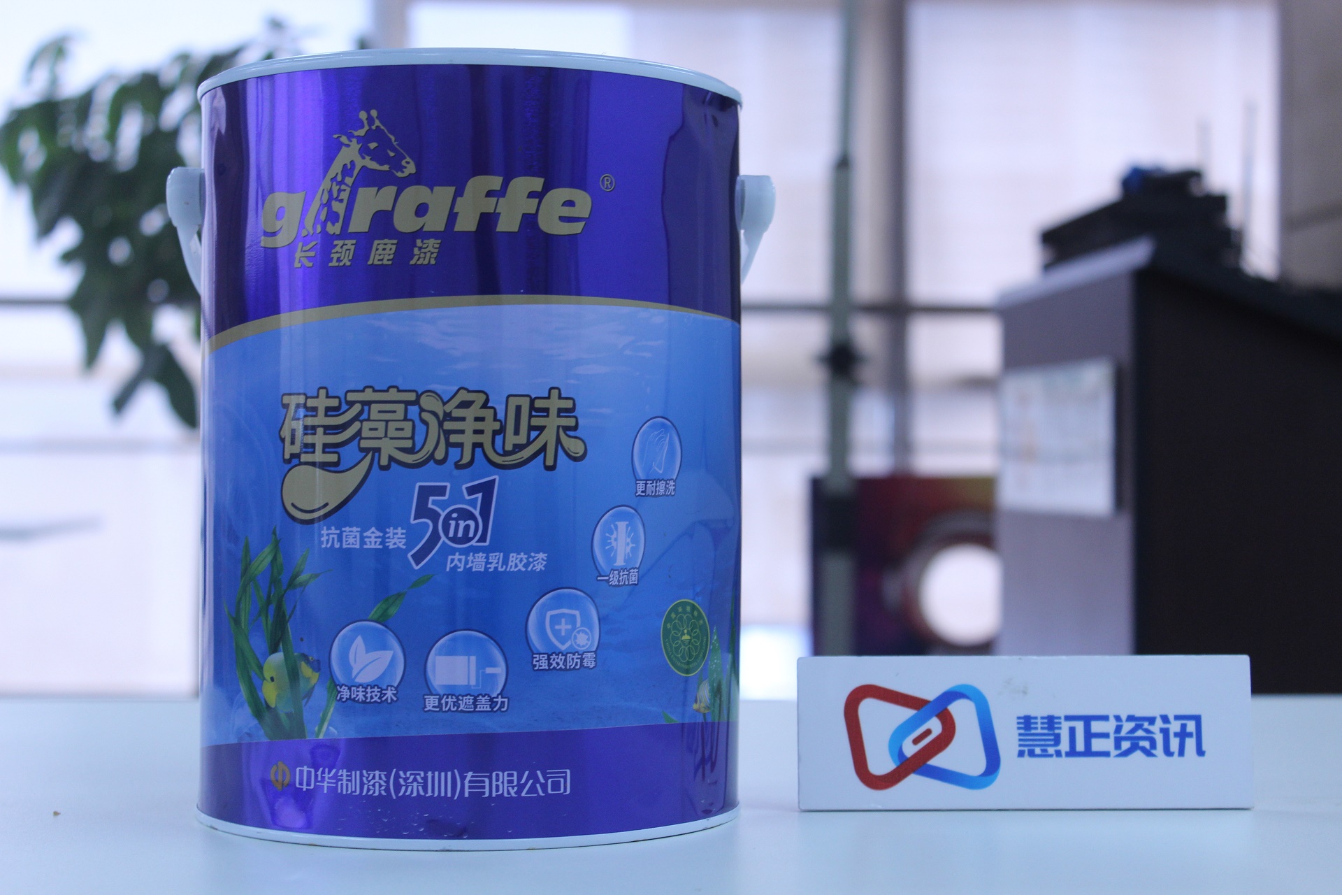 “净”享涂装，性能出圈∣长颈鹿牌硅藻净味抗菌金装5合1内墙乳胶漆评测