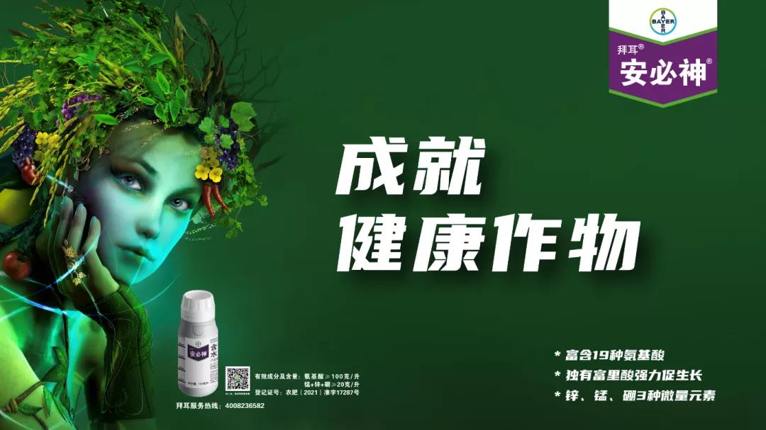 拜耳首款氨基酸类生物刺激剂安必神®正式在华上市