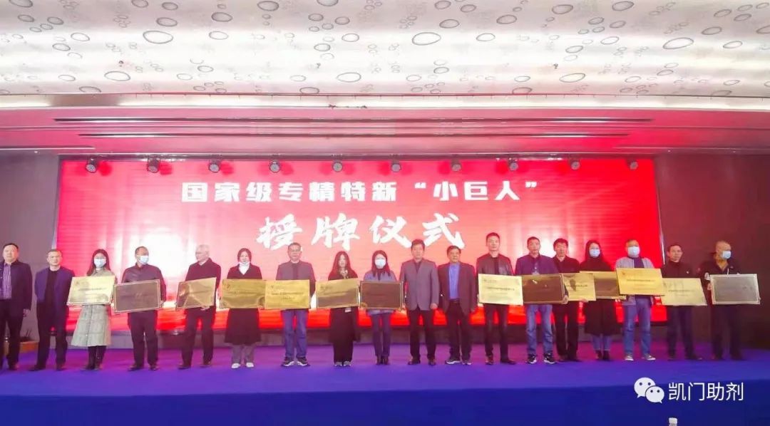 岳阳凯门水性助剂公司荣获国家级专精特新“小巨人”企业