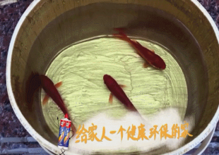 【德高】炫彩到底有啥“圈粉”大招？