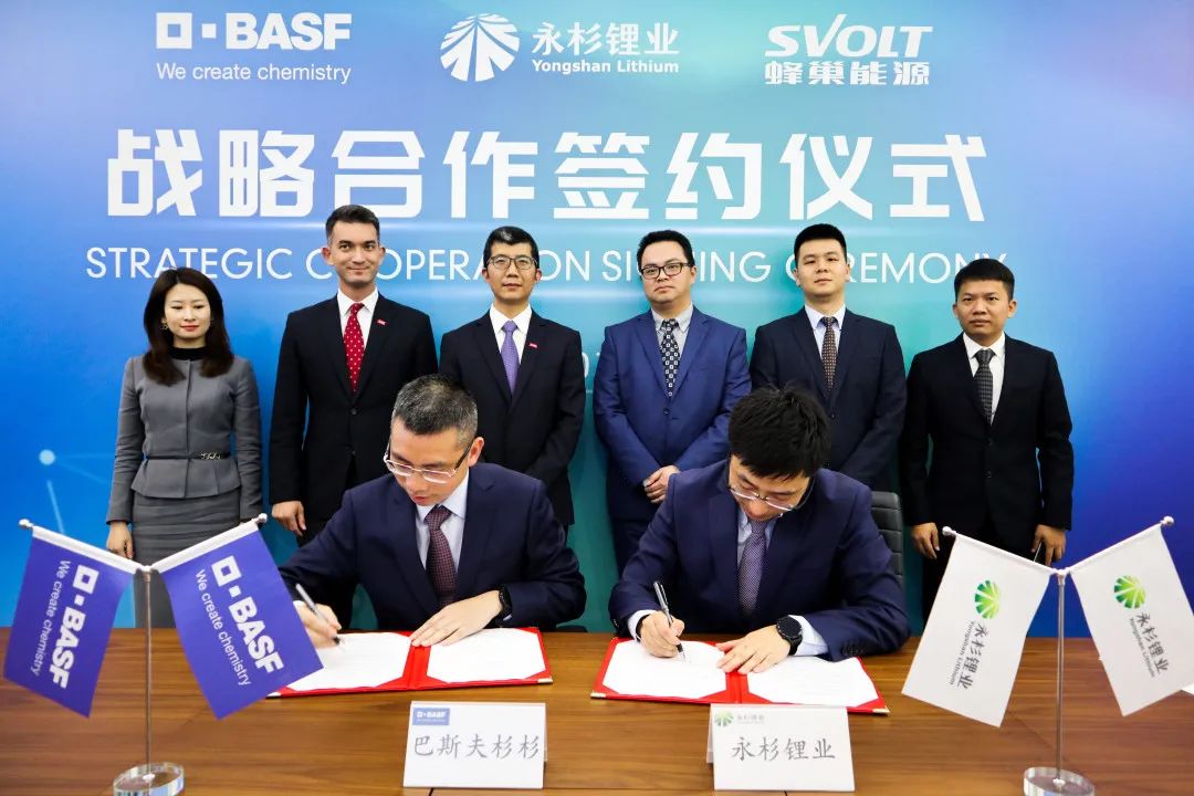 蜂巢能源携手巴斯夫杉杉战略投资永杉锂业