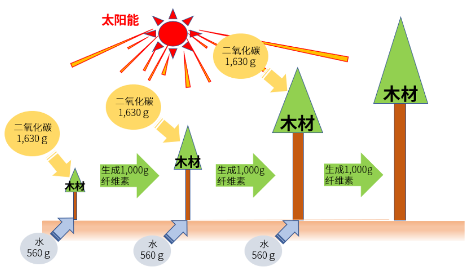 宝理推出生物基材料长纤维素纤维增强热塑性树脂