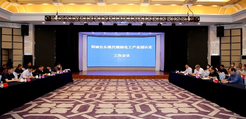 台头现代精细化工产业园通过山西省化工园区专家组认定