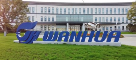 万华化学收购巨力反垄获批 TDI国内占比将接近50%