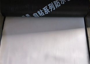 北新特色 | 强条执行，这款三元乙丙材料值得你一探究竟