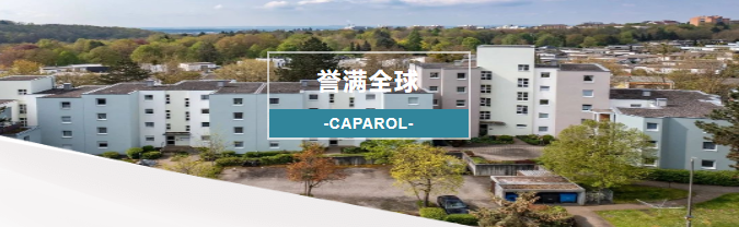 誉满全球丨德爱威重塑外立面 打造别致风景线：施韦因富特住宅区