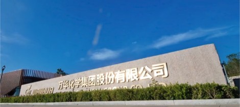 万华化学上半年收入维稳876亿 但利润下滑超过17%