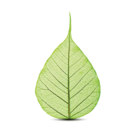 SABIC推出NORYL™所有牌号树脂的生物基版本，进一步推动塑料的循环经济发展