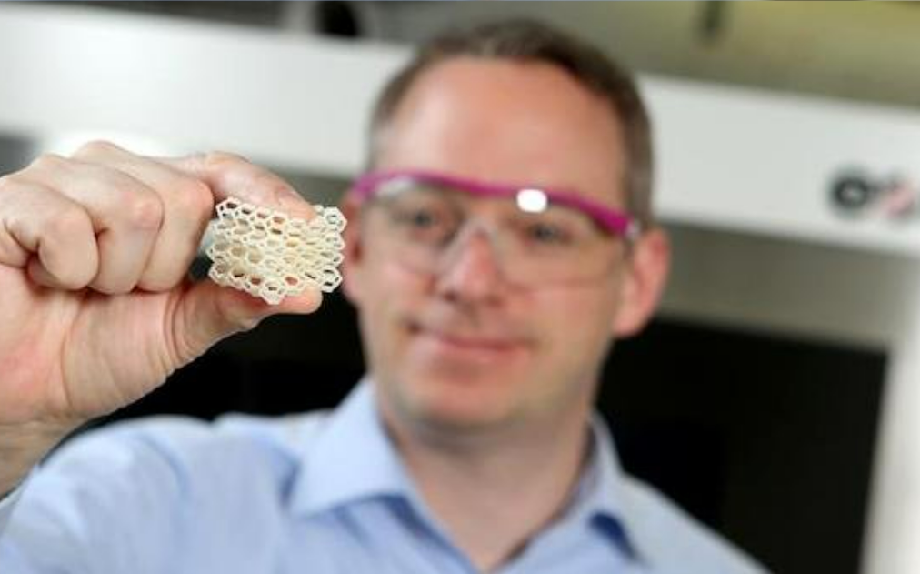 赢创推出新型INFINAM® TPA弹性体粉末 3D打印鞋材新选择！