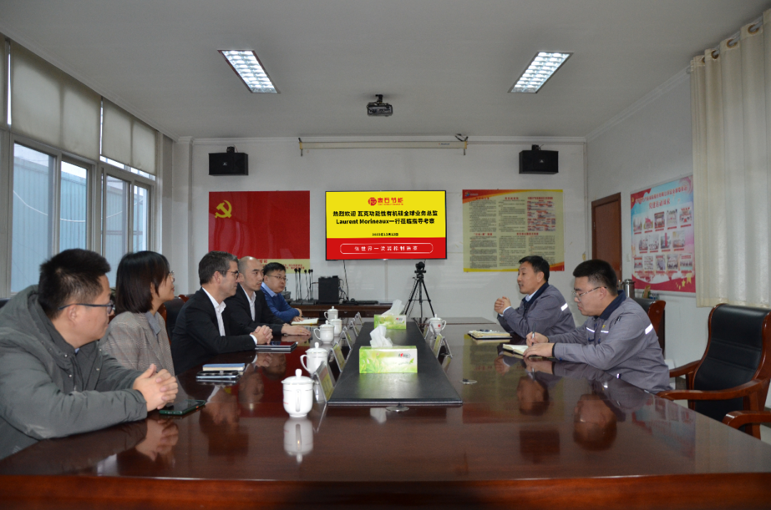长期战略合作建信任  瓦克有机硅团队考察棉岩用户泰石节能