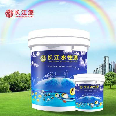 长江涂料优品推荐：水性聚氨酯底漆 S/W06