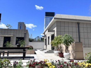 中国防水展倒计时，宇阳泽丽“826”引领潮流新高度！