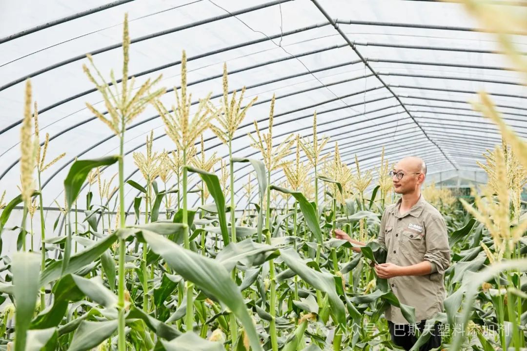 巴斯夫推出了具有更长效热稳定性的光稳定剂 Tinuvin® NOR 系列产品