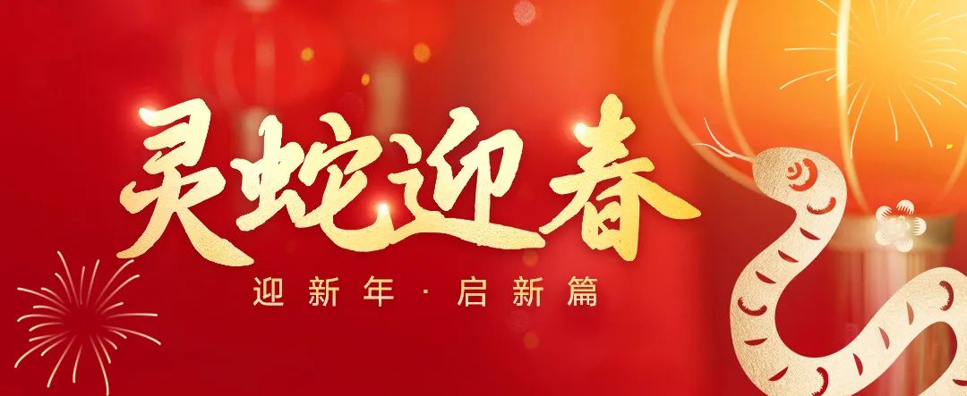 展辰董事长陈冰2025年新年献词：无畏艰辛，积极应变，持续增长