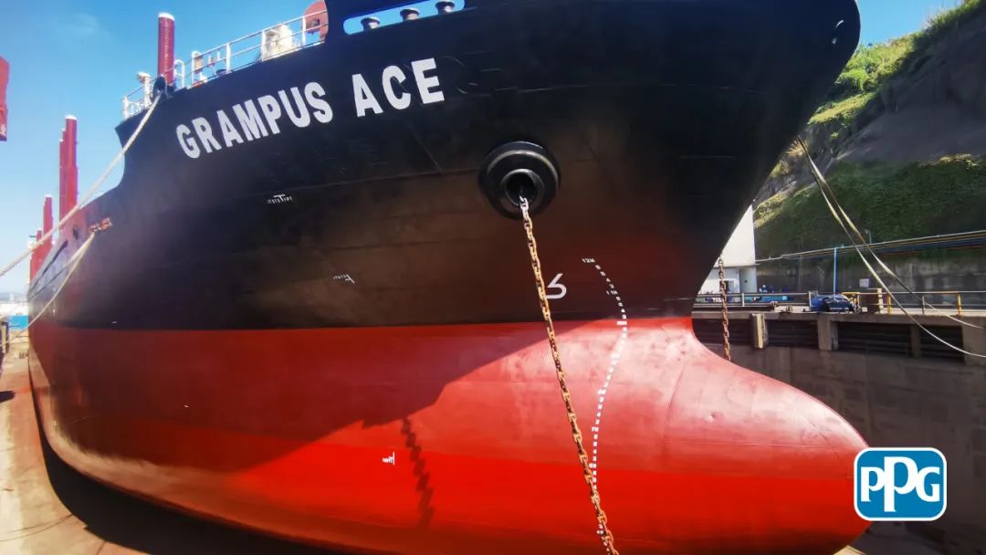 一款涂料就让船舶能效提升？！背后的原理竟是……