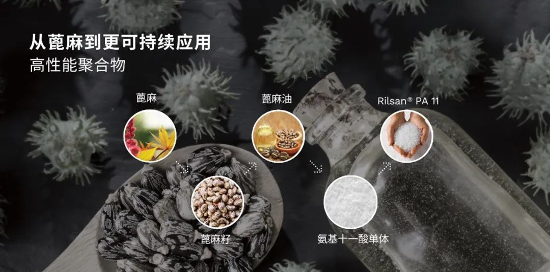 阿科玛以ABC战略在生物基材料中破局