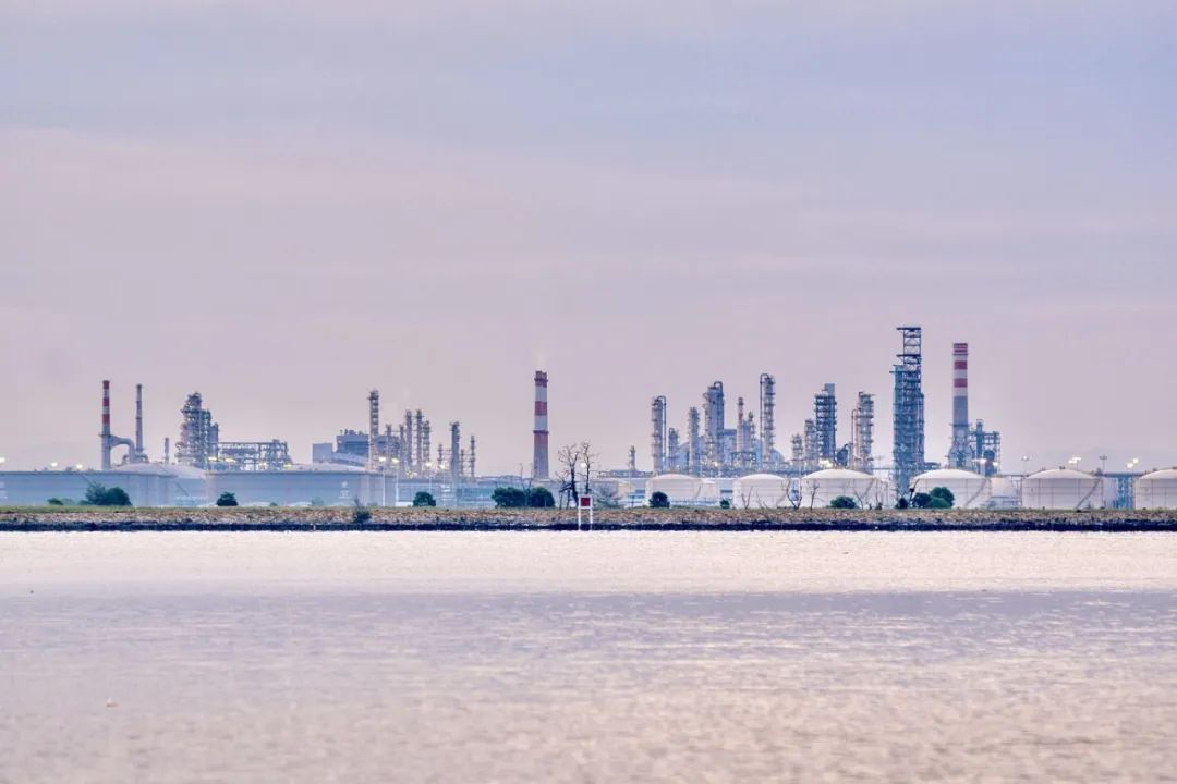 恒逸石化2024年年报发布：锦纶项目转入生产运营准备阶段 创新研发投入持续加码