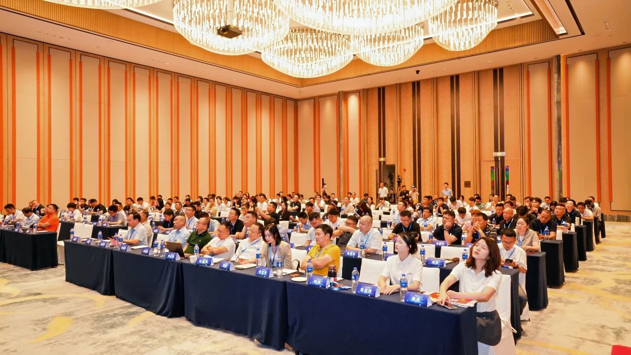 再获殊荣！巴德士仿石漆荣获“2025年中国零售仿石涂料30强‘功勋品牌’”