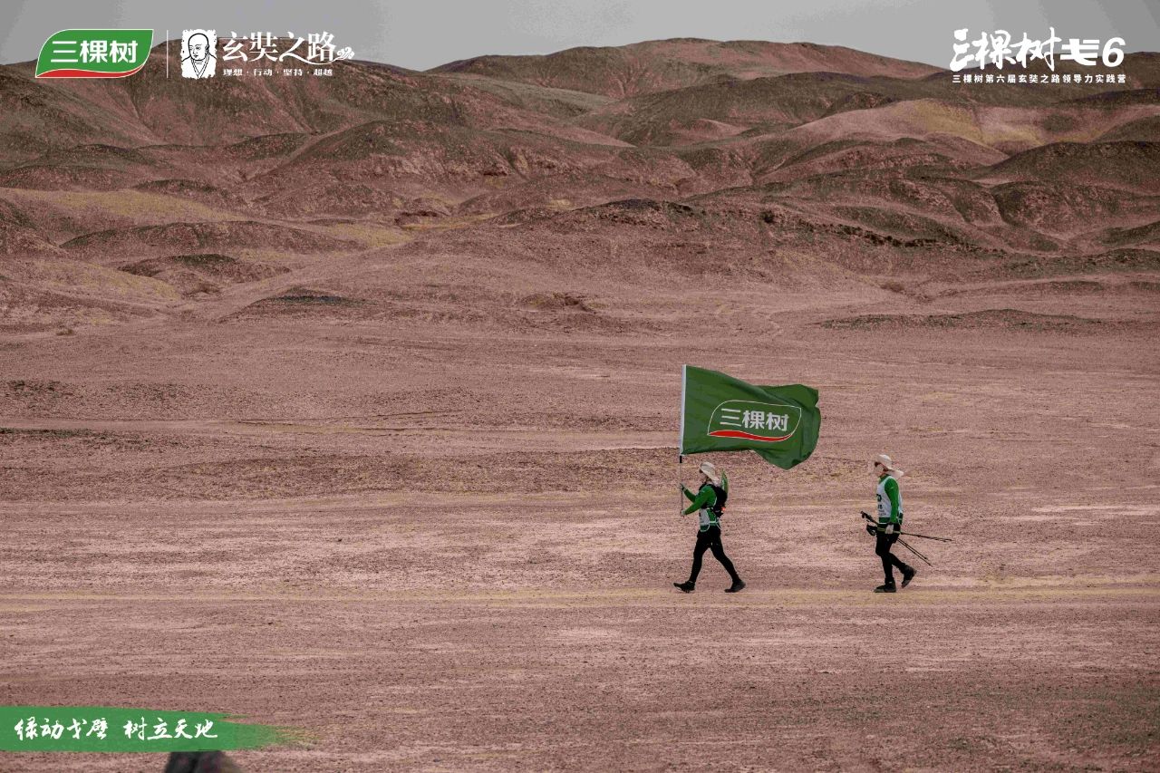 “熬”出来的伟大！三棵树戈6玄奘之路见证企业韧性生长