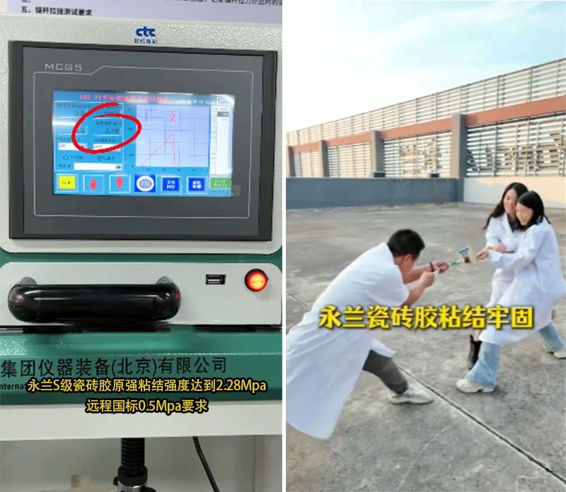 永兰 | 普通瓷砖胶与S级瓷砖胶有什么区别？如何正确选择瓷砖胶？