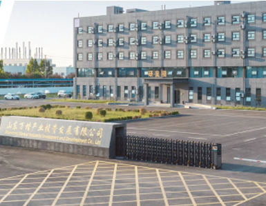 Breaking through technological monopoly: The path to self-reliance and controllability for China's PETG industry
