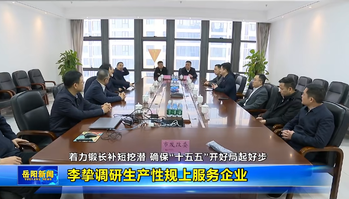 政企同心，赋能发展：岳阳市市领导一行调研百利科技