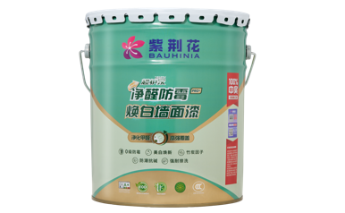 紫荆花优品推荐：超护家净醛防霉焕白墙面漆