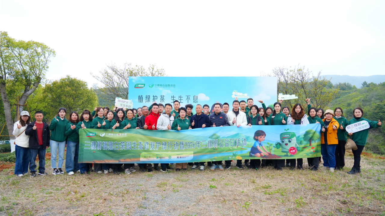 植绿护茶 生生不息丨三棵树福鼎白茶园生态修复项目启动